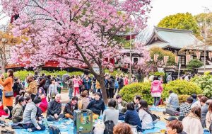 festival-unik-di-jepang-dari-hanami-hingga-matsuri